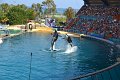 Marineland aout 2014 92